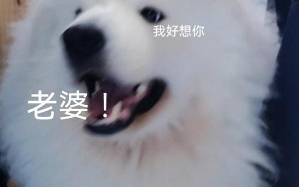 啊∽你tm别了我的小兔兔电影_电影盒子tm