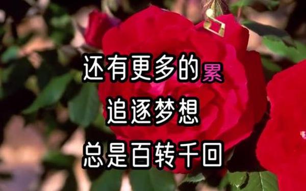 啊锵锵锵锵锵锵锵锵好多忆(铿锵锵锵锵锵锵锵锵海外)