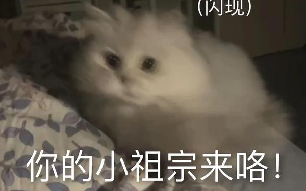 啊你tm别了小孩;我要我要你们谁都别来理我