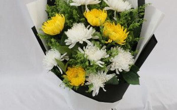 ih888.cad菊花—菊花的花谚