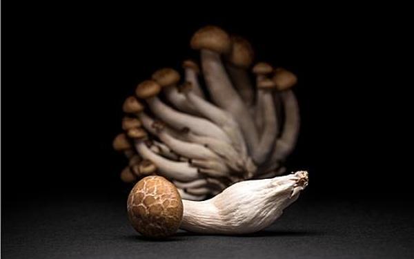 17c黑料爆料蘑菇-黑色滑滑黏糊糊的菌叫什么