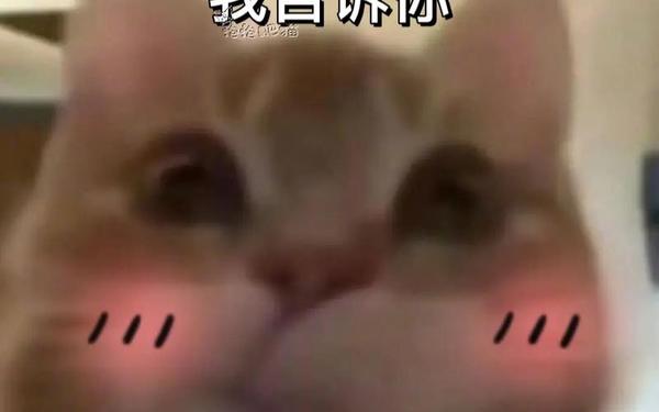 啊你tm别了小孩;我要我要你们谁都别来理我